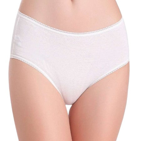 Thick Maxi Brief - Flourish Nightwear & Undergarments